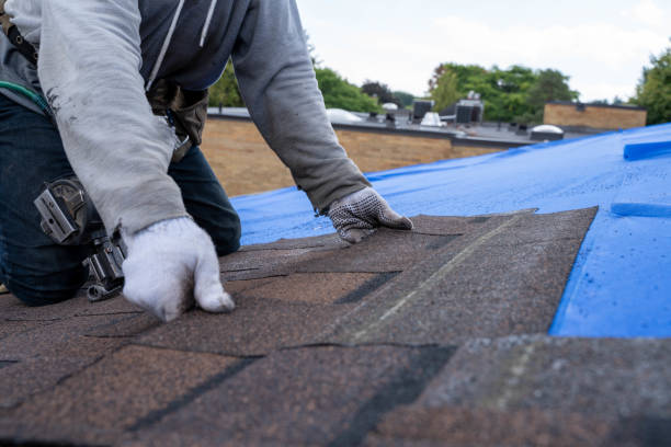 Sheet Metal Roofing in Hamilton, MT